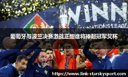 葡萄牙与波兰决赛激战正酣谁将捧起冠军奖杯