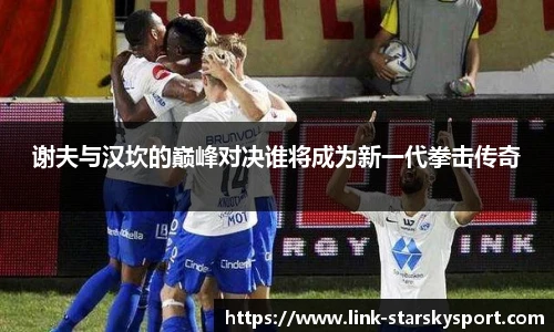 谢夫与汉坎的巅峰对决谁将成为新一代拳击传奇