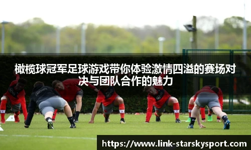 橄榄球冠军足球游戏带你体验激情四溢的赛场对决与团队合作的魅力